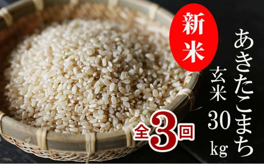 30年新米コシヒカリ玄米29㎏ - 米/穀物