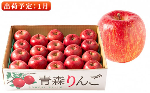 1月  特A 濃厚サンふじ約5kg　糖度13度以上【青森りんご・マルコウアップル】