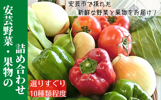 リニューアル!! 1-(3).安芸野菜・果物の詰め合わせ