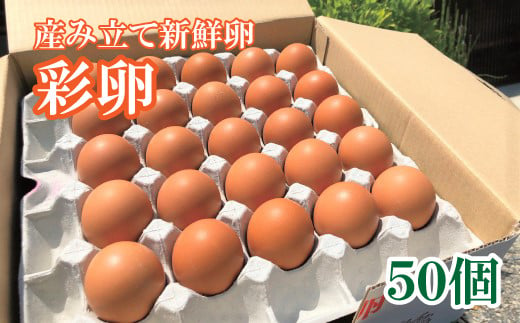 ※写真はイメージです。アスタキサンチン酵母入り！産みたて新鮮卵「彩たまご」を50個ギフトボックスに入れてお送りします。