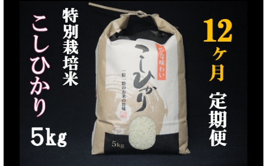 令和5年産【定期便12回】大沼ファームの特別栽培米コシヒカリ5kg×12回