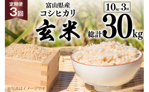 【3回 定期便 】米 コシヒカリ 玄米 10kg ×3回 計 30kg / アグリ金山 / 富山県 朝日町 [34310242] お米 美味しい  こしひかり 富山 農家 直送