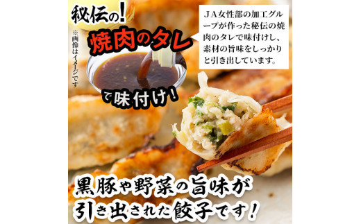 鹿児島県産黒豚使用!とこ豚餃子(計84個) a0-262