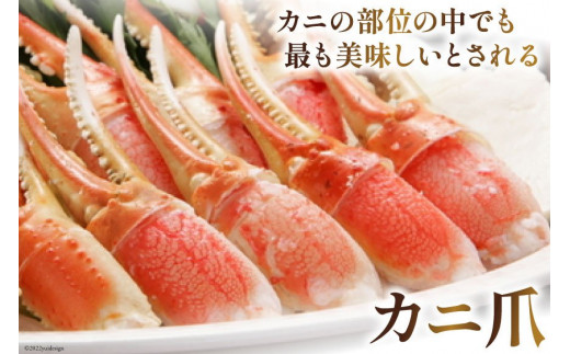 アイテムID:447176の画像3枚目