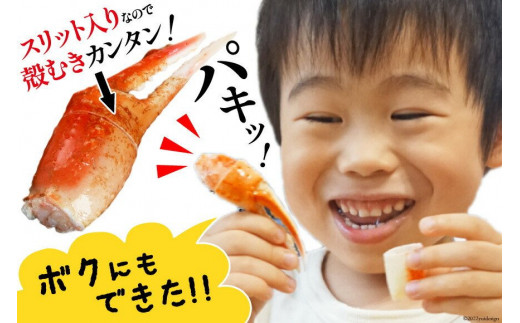 アイテムID:447176の画像5枚目