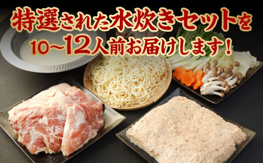 特選 水炊き セット 10～12人前 鶏もも肉 手羽先 ちゃんぽん麺