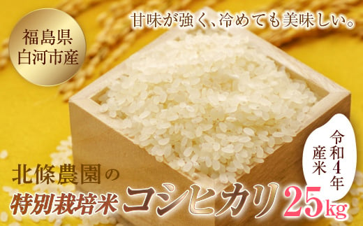 令和4年産米 北條農園の特別栽培米（コシヒカリ）25kg F21R-103 596157 - 福島県白河市
