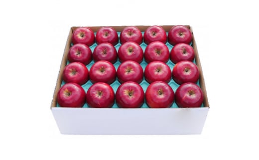 りんご 紅玉 家庭用 約5kg【1331541】 430171 - 青森県青森市