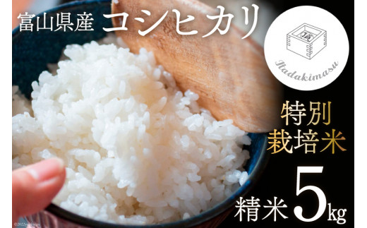 米 令和5年 特別栽培米 コシヒカリ 5kg / いただきます / 富山県 朝日町 [34310010] お米 白米 ごはん こしひかり 美味しい