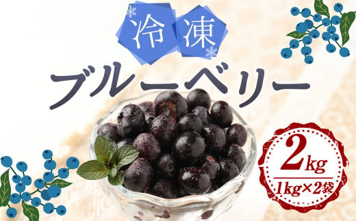 九重町産 冷凍 ブルーベリー 2kg (1kg×2袋) 農薬不使用 果物 410195 - 大分県九重町