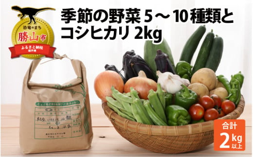 季節の野菜5～10種類と令和5年産 コシヒカリ2kg [A-020006] 719965 - 福井県勝山市