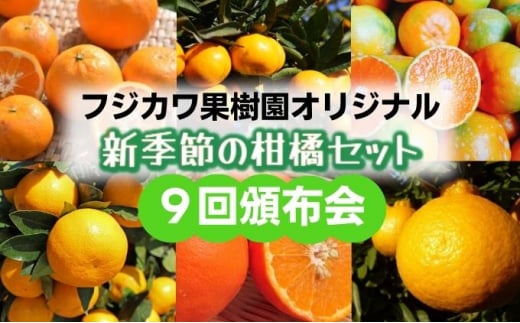 【9回頒布会】フジカワ果樹園オリジナル・新季節の柑橘セット 555376 - 香川県観音寺市