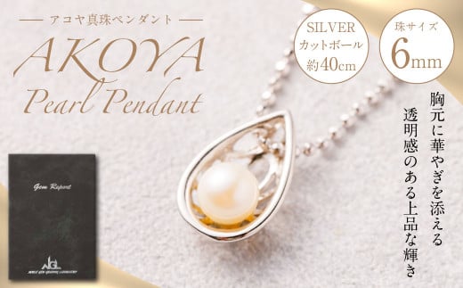 SILVER アコヤ真珠 6mm ペンダント 真珠 アクセサリー 800489 - 熊本県熊本市