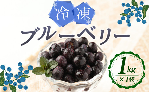 宮城県産冷凍ブルーベリー(１．８キロ)栽培期間中農薬不使用