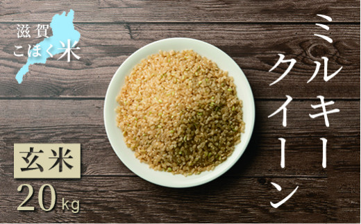 令和4年 滋賀県湖北産 湖北のミルキークイーン 20kg (玄米)|株式会社エース物産
