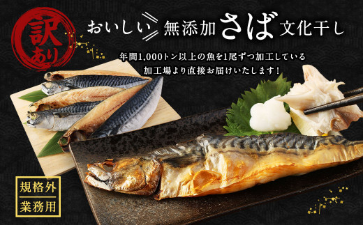 【訳あり規格外】 業務用 無添加さば文化干し 1.2kg 鯖 さば 干物 魚