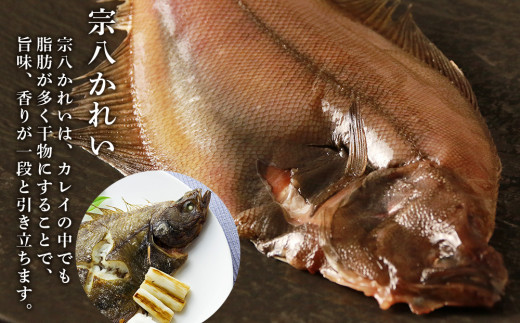 【干物セット】 赤魚の開き＆ほっけ一夜干し＆宗八かれい一夜干し 各1枚×２パック〈秋元水産〉|株式会社Souplesse（スプレス）