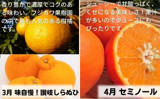9回頒布会】フジカワ果樹園オリジナル・新季節の柑橘セット - 香川県