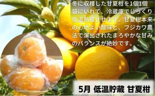9回頒布会】フジカワ果樹園オリジナル・新季節の柑橘セット - 香川県