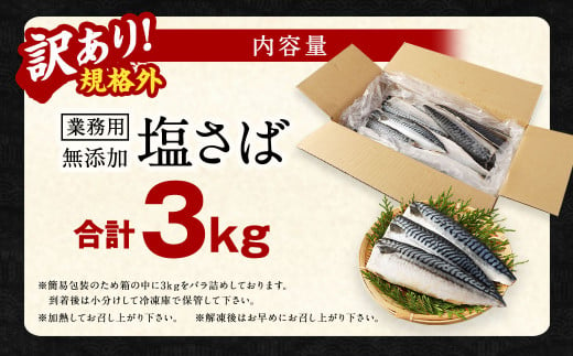 【訳あり規格外】  業務用 無添加 塩さば どーんと! 3kg 鯖 さば 塩サバ 干物 魚