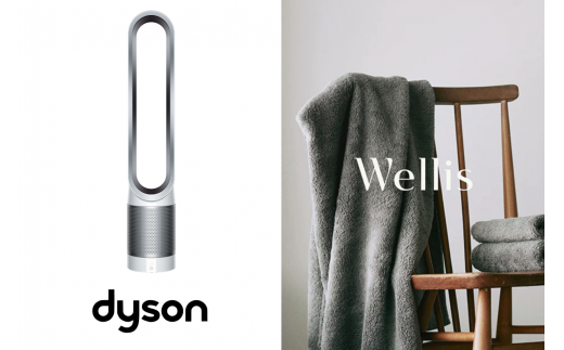 Wellis×dyson Wellis Dyson Pure Cool Link™ 空気清浄機能付タワー