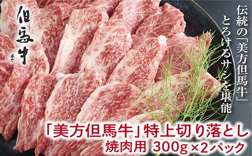但馬牛特上切り落とし 300g×2P(焼肉用)【1073840】