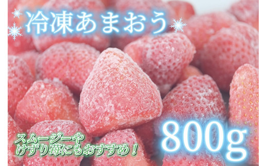 DU-006 うるう農園の【特別栽培】冷凍あまおう800g