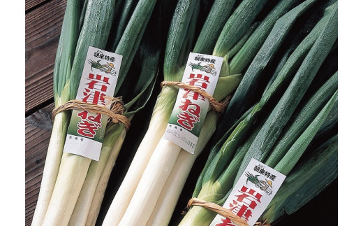 朝来市特産「岩津ねぎ」3kg(箱入り)【1292693】