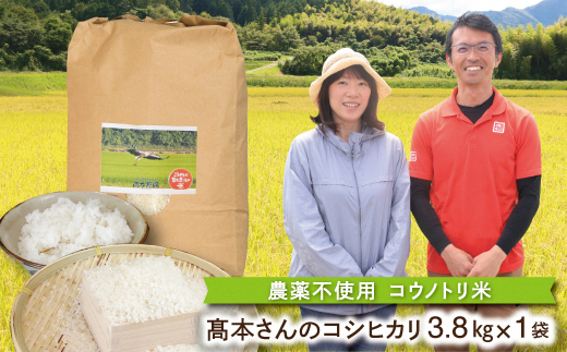 高本さんのコウノトリ育む農法白米3.8kg(農薬不使用)【1016388】