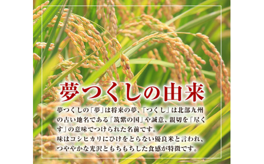 令和4年産 福岡県産 夢つくし 無洗米 15kg 5kg×3袋 株式会社オカベイ《30日以内に順次出荷(土日祝除く)》米 コメ ゆめつくし 無洗米  送料無料