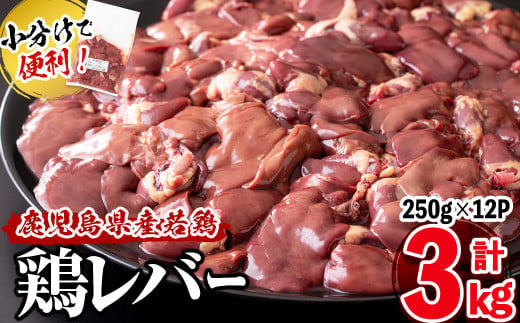 小分けで便利！鹿児島県産鶏レバー 計3kg(250g×12P) a0-295 432613 - 鹿児島県志布志市