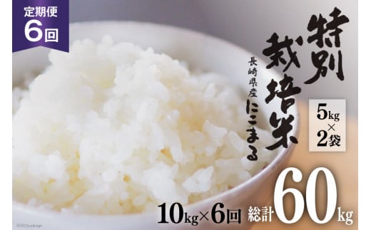 定期便 6回 特別栽培米 にこまる 10kg×6回 総計60kg 米 / サンクスラボ / 長崎県 雲仙市