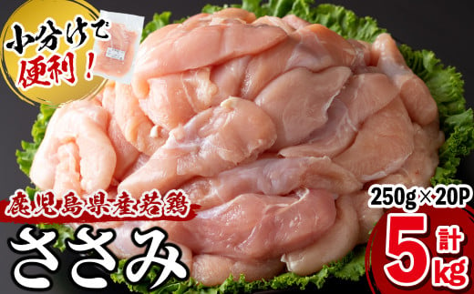 小分けで便利！鹿児島県産若鶏ささみ 計5kg(250g×20P) a5-258 432595 - 鹿児島県志布志市