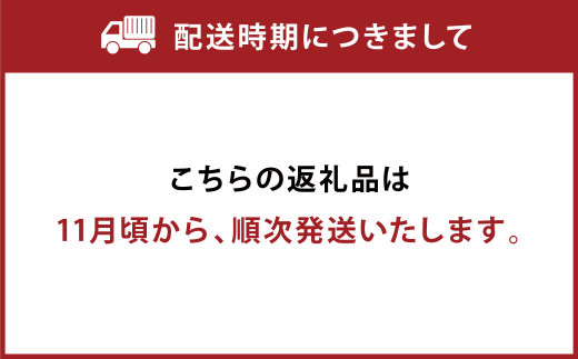 新品通販 ヤッシー様専用ページの通販 by shurito｜ラクマ mumbaibjym.org