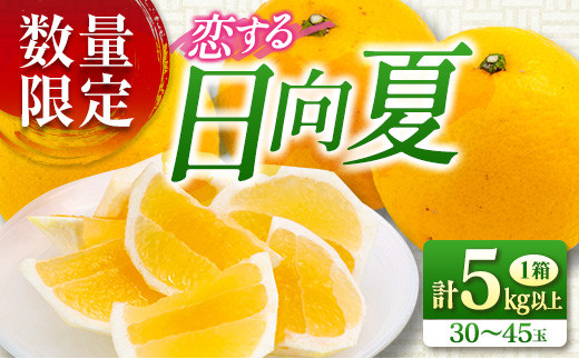 ≪数量限定≫恋する日向夏(計5kg以上)　フルーツ　果物　柑橘　みかん　国産 B166-21