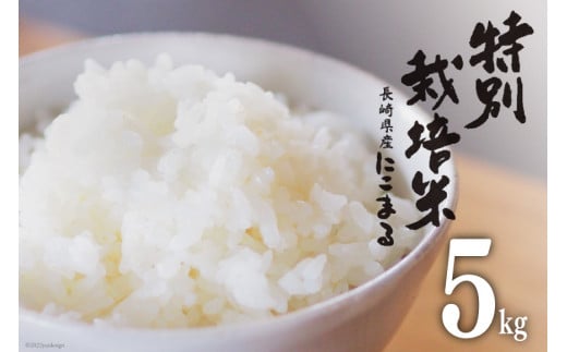 特別栽培米 にこまる 5kg 米 / サンクスラボ / 長崎県 雲仙市