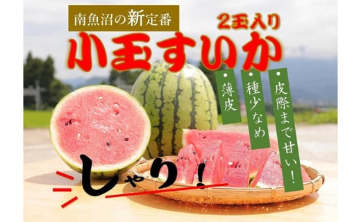 【山崎さんのスイカ☆羅皇☆ 2玉入(各8キロ前後)