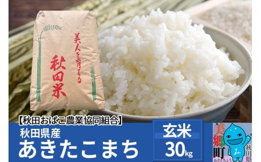 秋田県産 あきたこまち【玄米】30kg 令和4年産|秋田おばこ農業協同組合