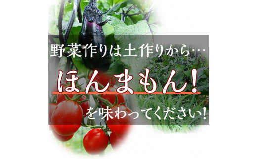 《アスカ有機農園》（栽培期間中農薬・化学肥料不使用）旬の京野菜セットS