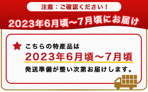 宮崎完熟マンゴー家庭用1kg以上(都城産) - 特大4Lサイズ(500g以上)2玉