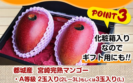 宮崎県産 完熟マンゴー 自家用 4~4.3kg - フルーツ