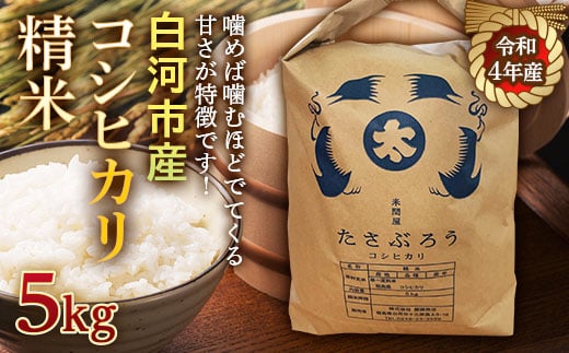 令和4年産米 白河市産コシヒカリ精米5kg F21R-536 592757 - 福島県白河市