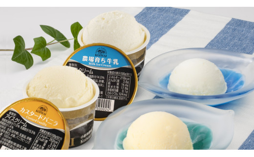 小岩井農場 アイスクリーム 6個セット ／ 2種類 食べ比べ アイス ギフト 贈答用