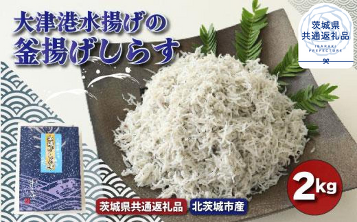 大津港水揚げの釜揚げしらす　2kg（茨城県共通返礼品／北茨城市産）