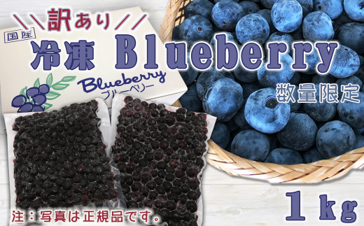 定形外発送送料無料商品 冷凍ブルーベリー 千葉県産 無農薬 1,5kg