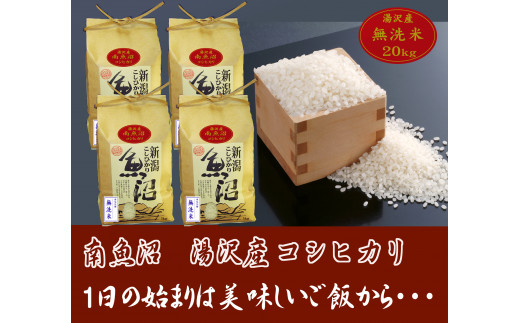 令和２年度産 新潟こしひかり 20kg(5kg×4袋) 特別栽培米 - 米/穀物