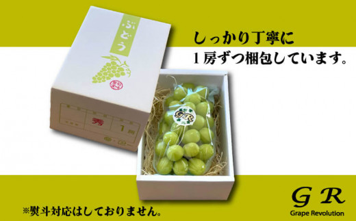 朝採り出荷 シャインマスカット 700g以上 - 香川県さぬき市｜ふるさと