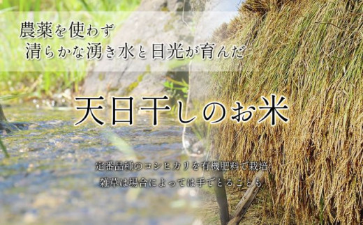 信州産 特別栽培米「里田のはぜかけ米」コシヒカリ 5kg - 長野県千曲市