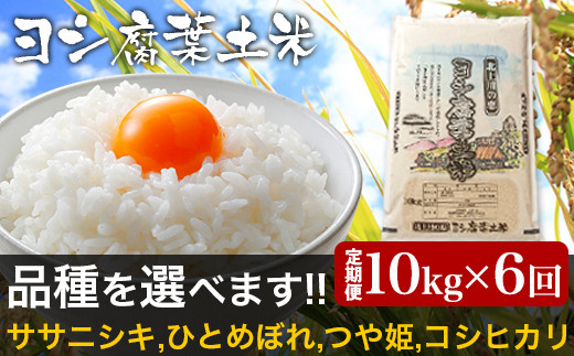 【新米予約】＜定期便6回＞品種が選べる 令和6年産 ヨシ腐葉土米  ササニシキ 合計60kg【毎月10kgを6回に渡りお届け！】 957389 - 宮城県石巻市