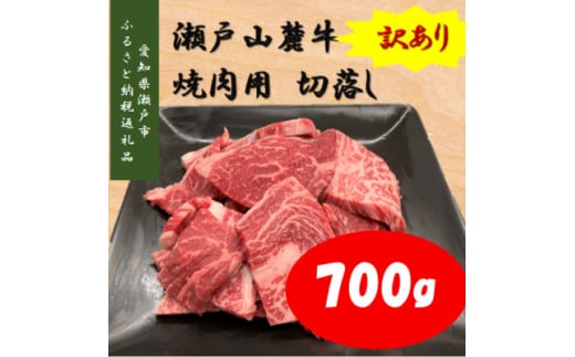 愛知県瀬戸市のふるさと納税 お礼の品ランキング【ふるさとチョイス】